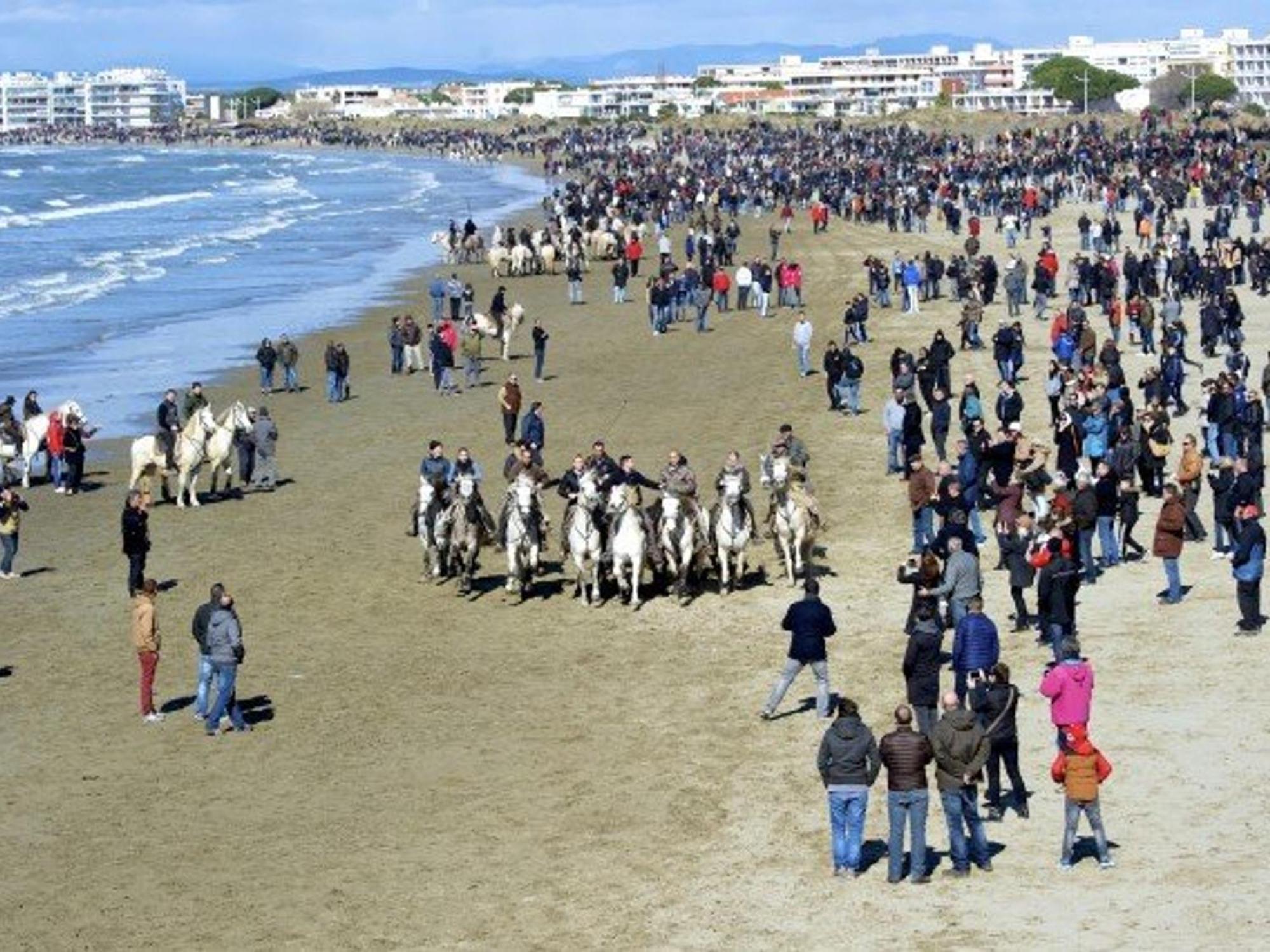 Maison P2 Mezzanine, Terrasse, Proche Plage Et Commerces, Parking Securise Au Grau-Du-Roi - Fr-1-307-142 Le Grau-du-Roi Buitenkant foto
